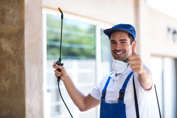 Dana Point Wasp Removal