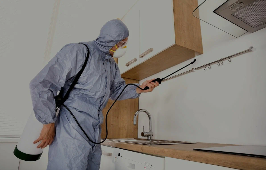 Dana Point pest managment